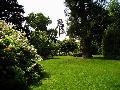 gal/holiday/Nymans Gardens 2003/_thb_Rhododendron_006.jpg